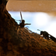 Illustration for article titled Shooting Challenge Freelensing Gallery 1